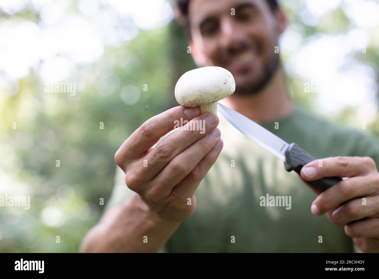 l'uomo raccoglie funghi nella foresta estiva Foto Stock
