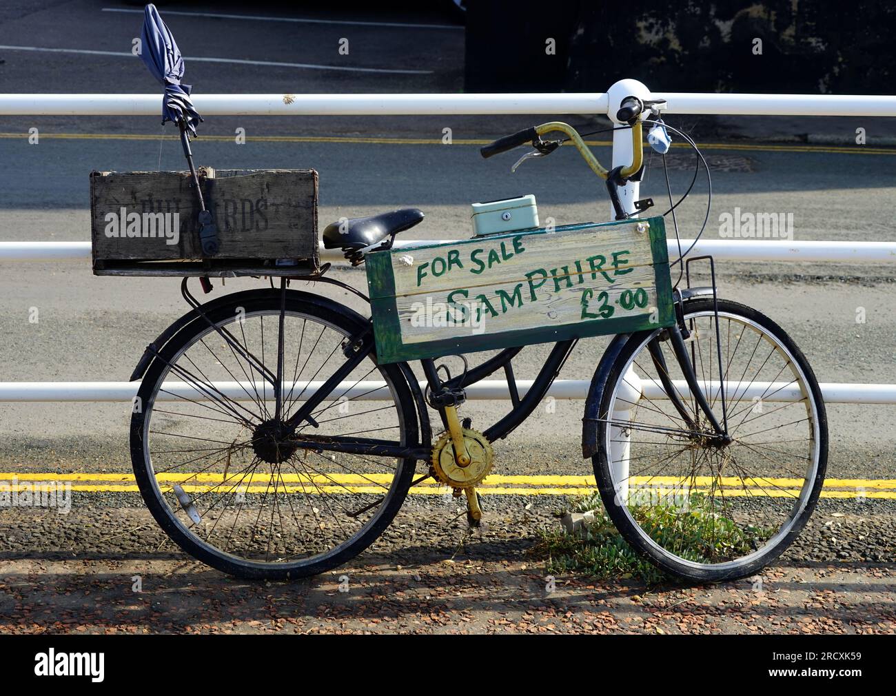 Samphire in vendita su Blakeney Quay Foto Stock