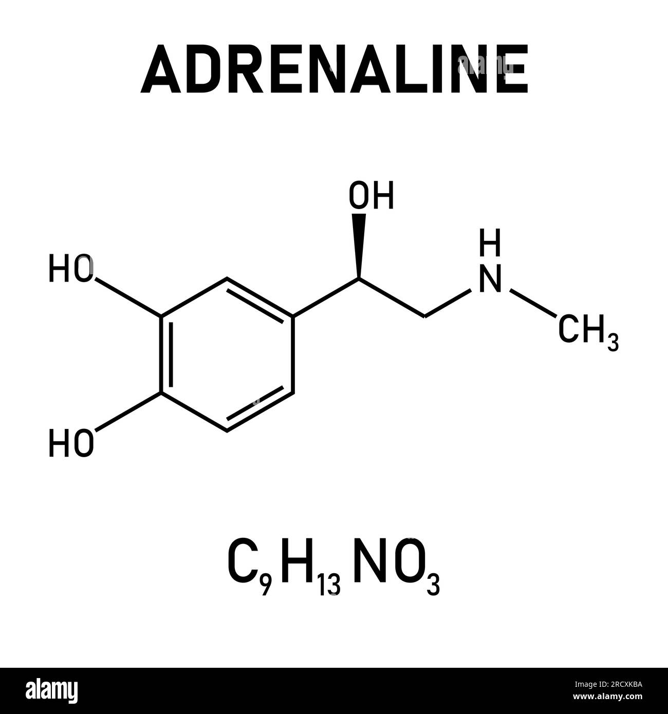 Struttura chimica dell'adrenalina o dell'epinefrina (C9H13NO3). Risorse chimiche per insegnanti e studenti. Illustrazione vettoriale Illustrazione Vettoriale