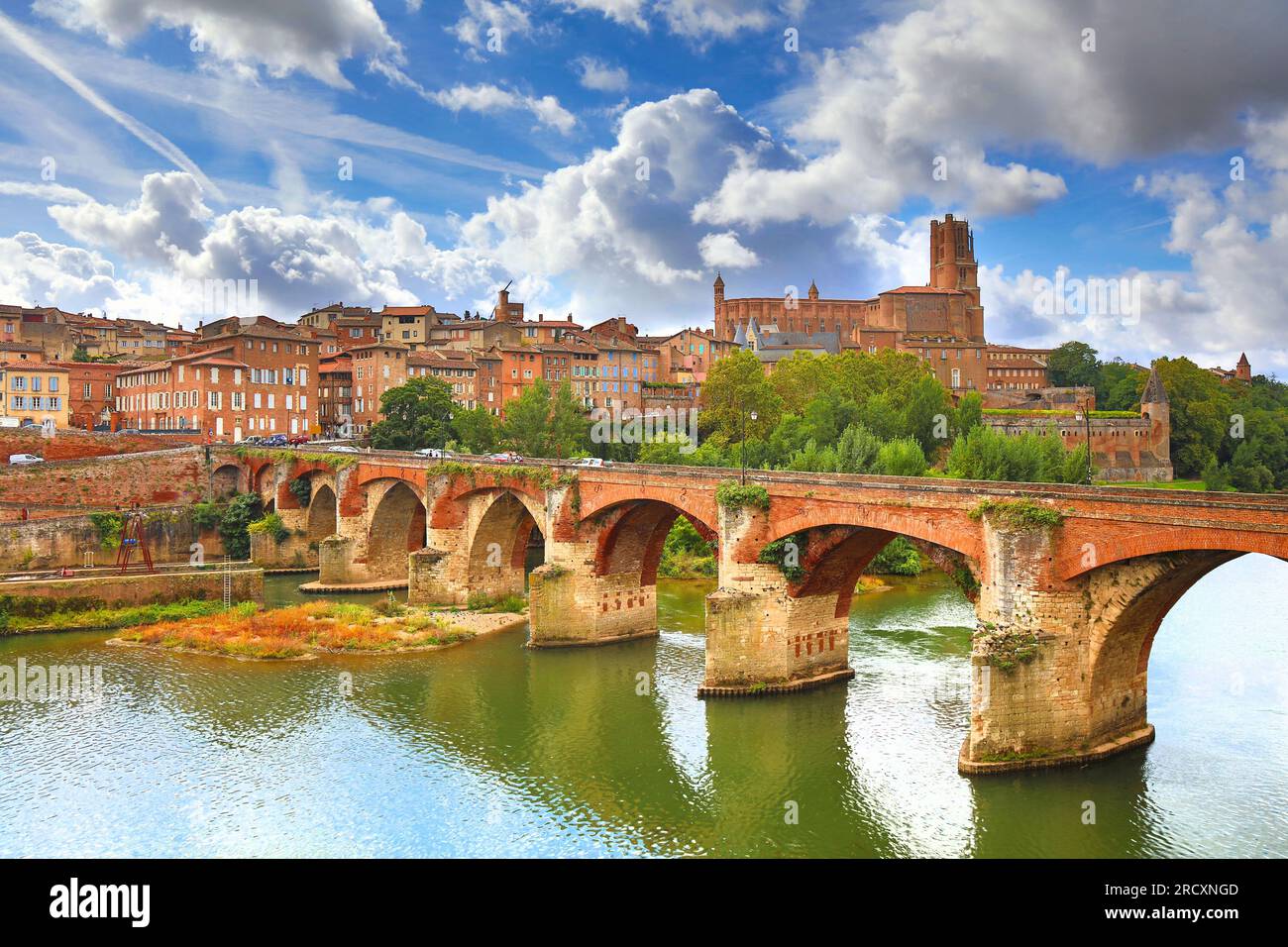 Albi, Francia. Paesaggio urbano di Albi nel dipartimento del Tarn. Vista sulla città con il fiume Tarn. Foto Stock