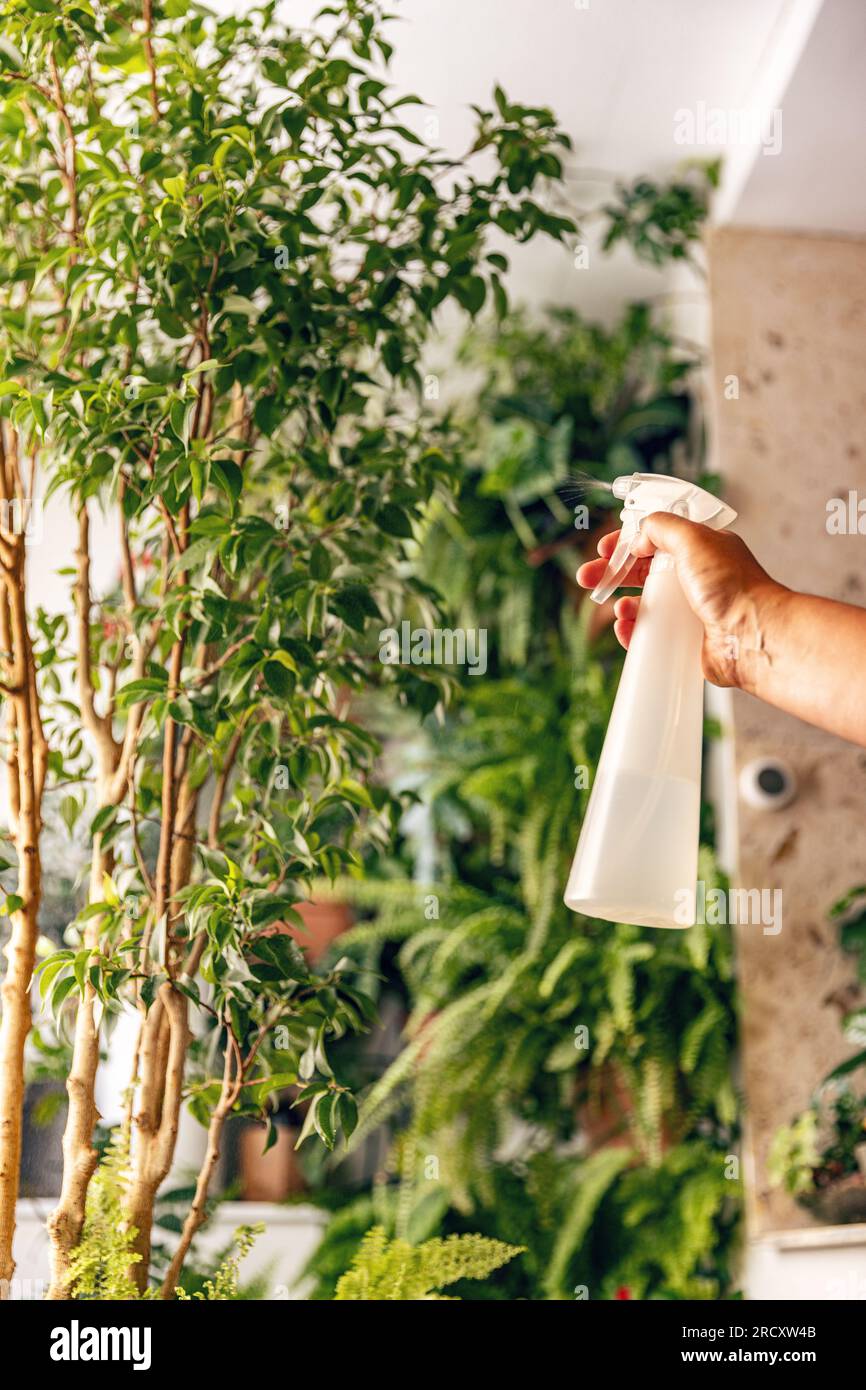 Donna che si prende cura delle piante mentre spruzza con acqua. Foto Stock