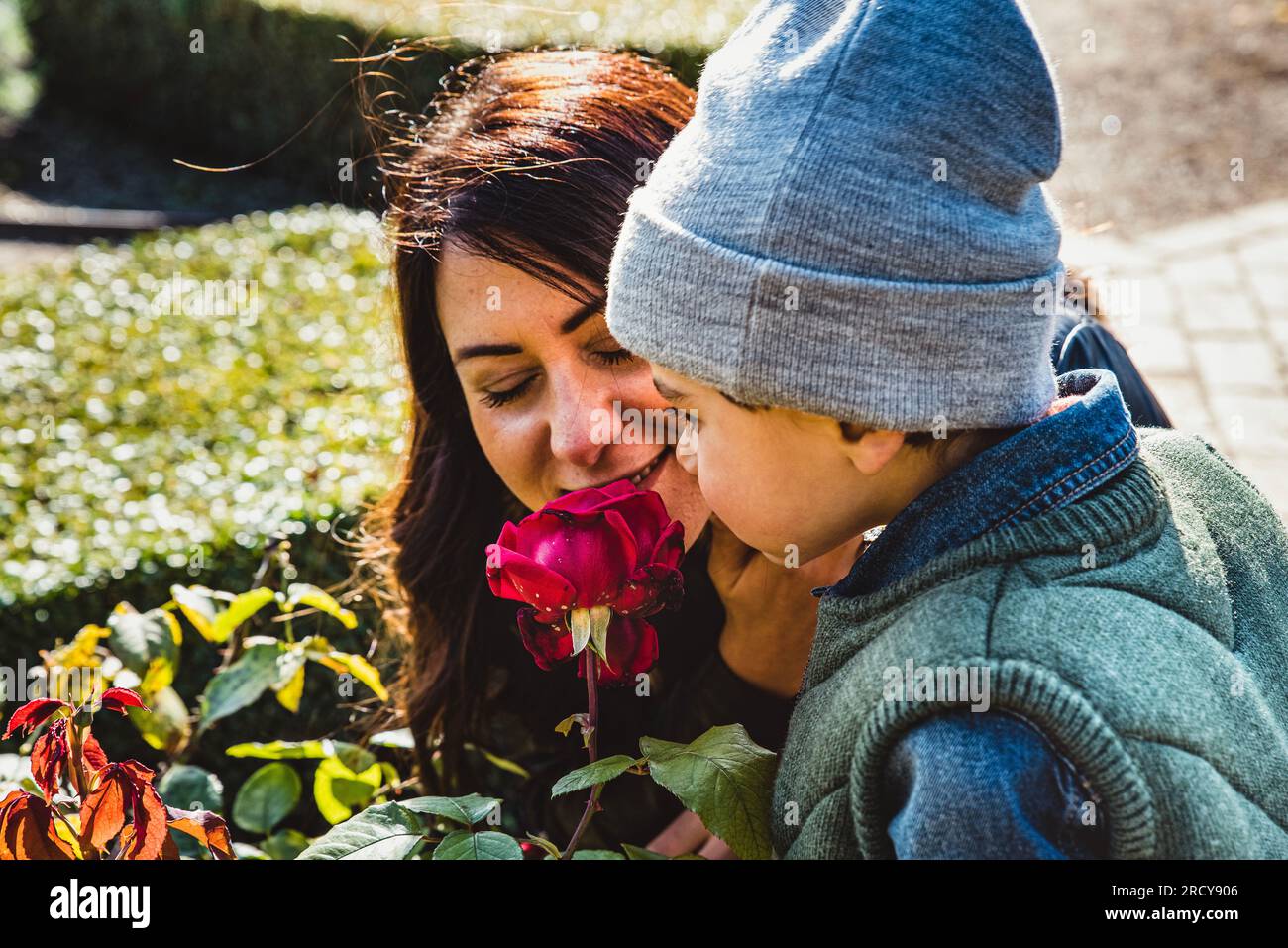 Concetto di amore per la mamma e rappresentazione genitoriale con una mamma sorridente e orgogliosa vicino a un fiore di rose in fiore rosso che le permette di scoprire la natura Foto Stock