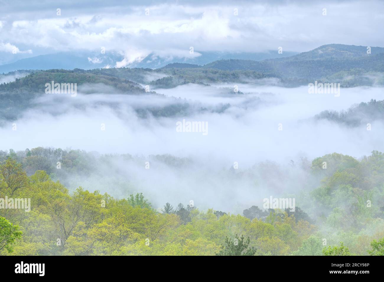 Nebbia mattutina sul Great Smoky Mountains National Park, TN, USA, di Dominique Braud/Dembinsky Photo Assoc Foto Stock