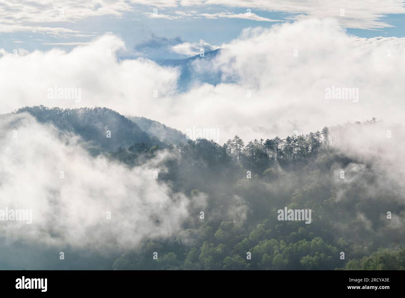 Condensazione mattutina e nebbia intensa sul Great Smoky Mountains National Park, TN, USA, di Dominique Braud/Dembinsky Photo Assoc Foto Stock