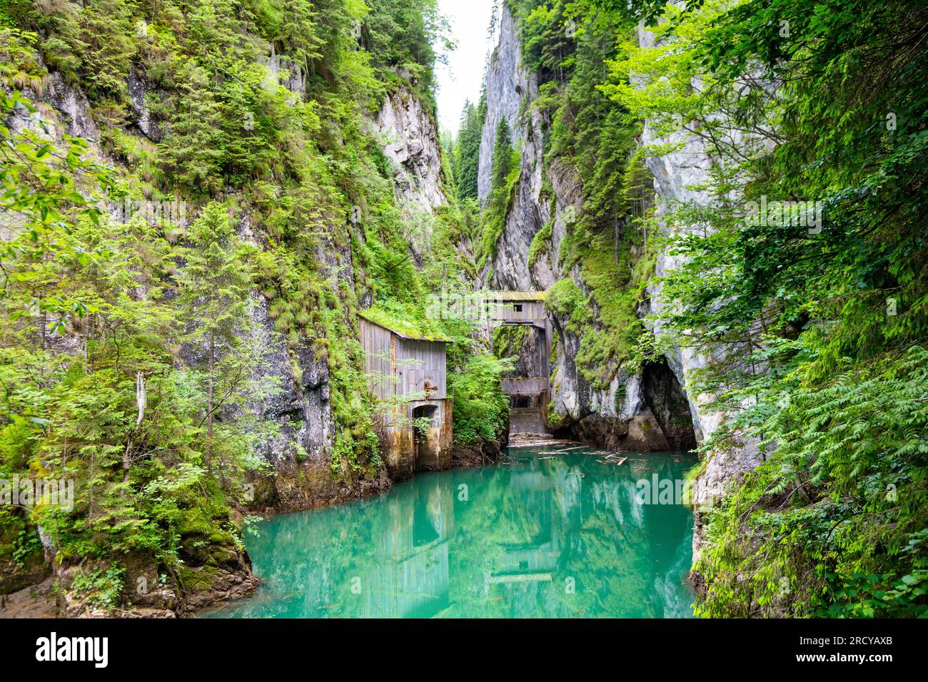 Gola di Orzei (Cheile Orzei) presso il lago Lacul Scropoasa, Romania Foto Stock