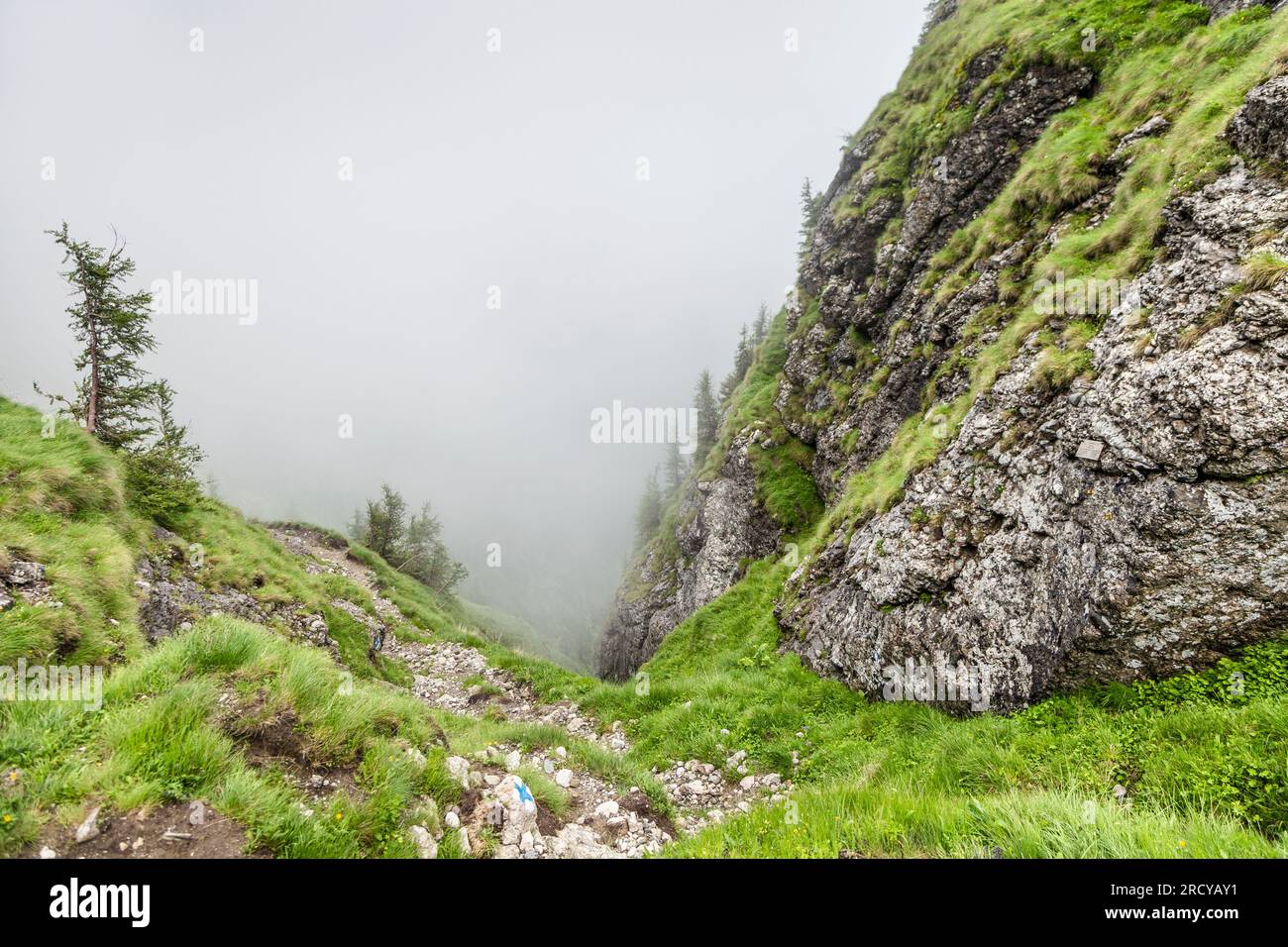 Montagne ricoperte di nuvole lungo il percorso escursionistico da Busteni a Caraiman Peak nei Carpazi, Romania. Foto Stock