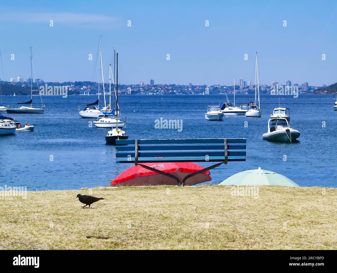 La vista da Little Manly Beach attraverso il mare del Porto di Sydney verso la città di Sydney, Australia. Foto Stock