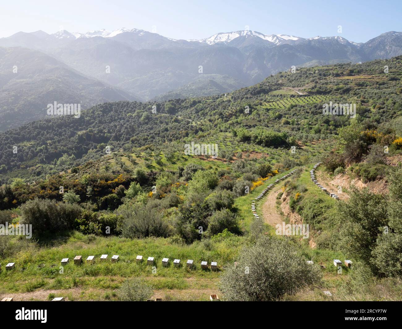 Paesaggio che mostra la catena montuosa bianca vicino a Chania, Creta occidentale, attraverso l'altopiano di Omalos Foto Stock