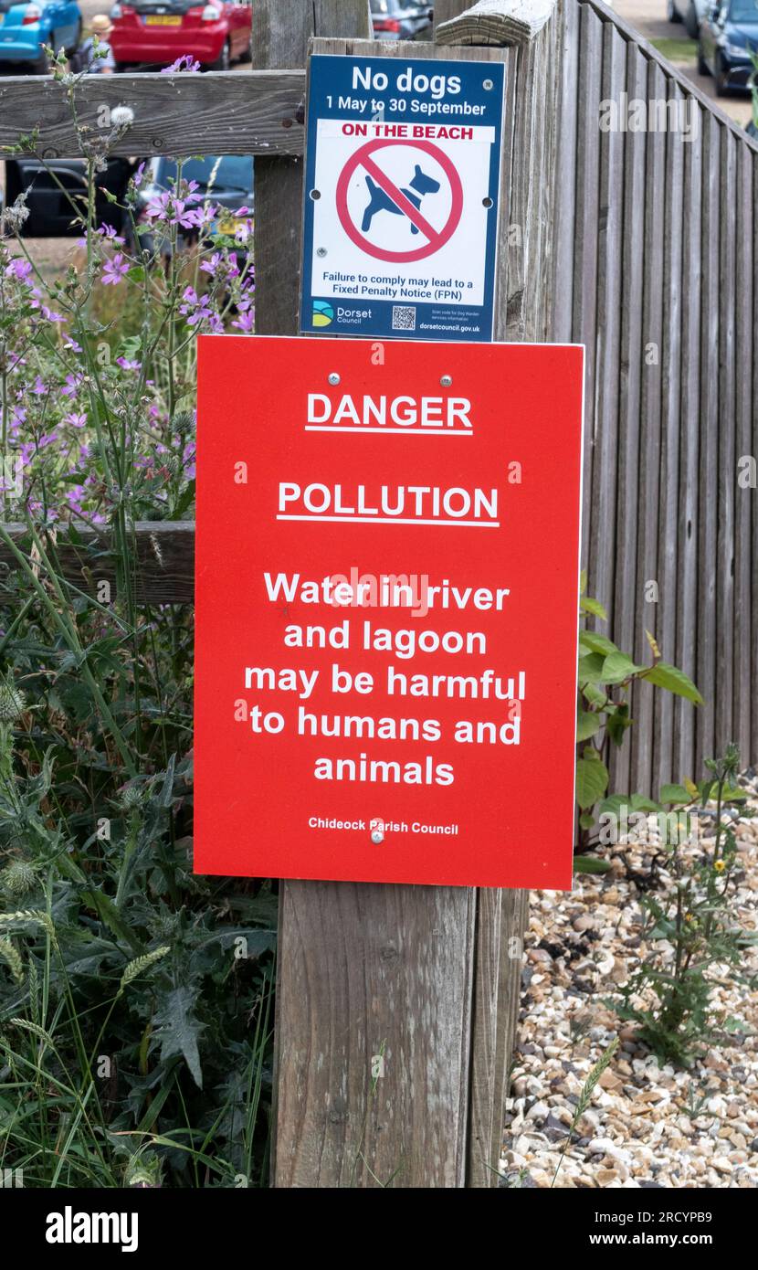 Segnale di avvertimento di poluzione d'acqua nel fiume Winniford a Seatown, Dorset. Nocivo, pericoloso per animali, persone, bambini Foto Stock