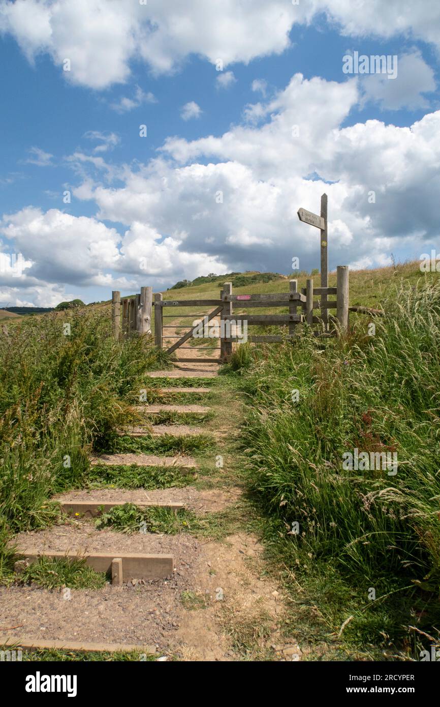 Passi lungo il percorso costiero sudoccidentale a Seatown, nr Chideock, Bridport, Dorset Foto Stock