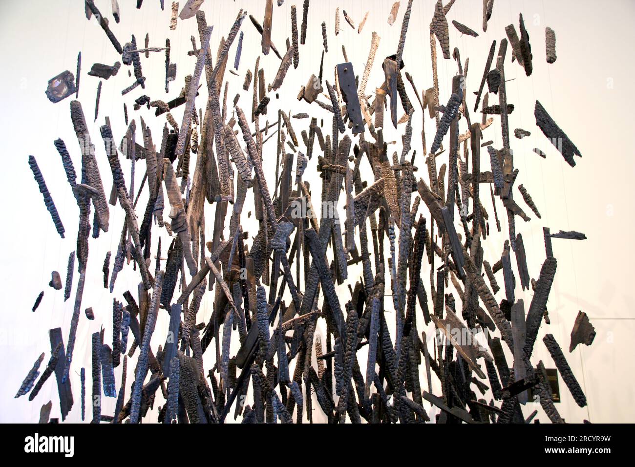 pezzi di legno charred Foto Stock