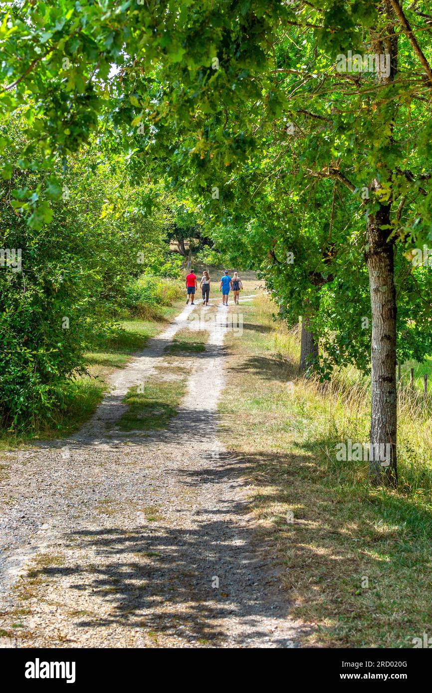 Due coppie in lontananza che camminano lungo la strada di campagna - Rosnay, Indre (36), Francia. Foto Stock