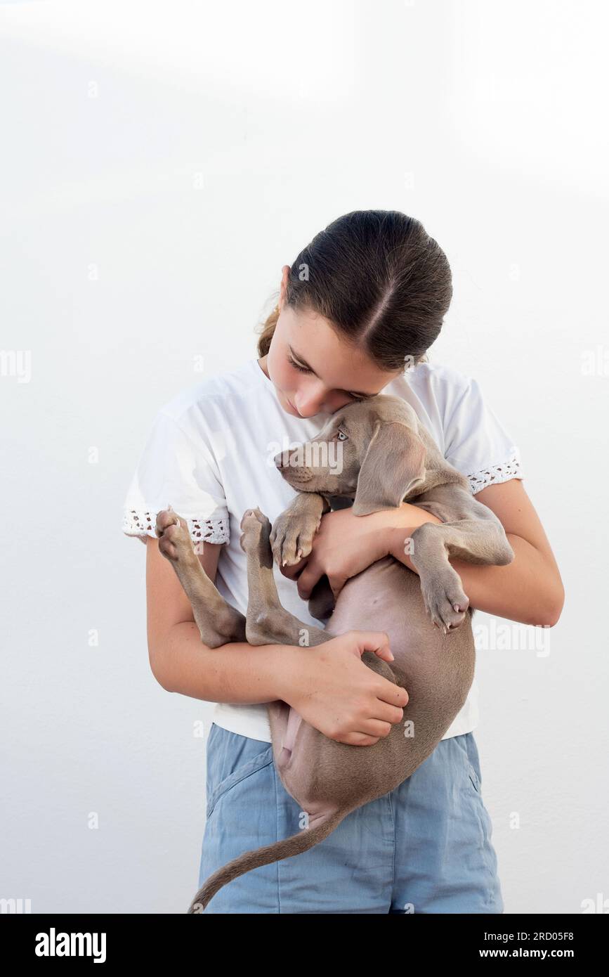 Ragazza che tiene il suo cucciolo di Weimaraner. Amore incondizionato per i cani. Cura degli animali domestici Foto Stock