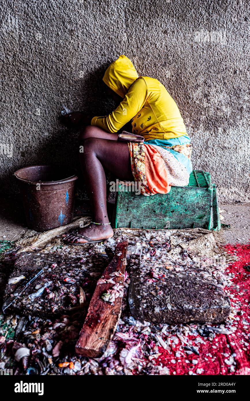 AFRICA, TUNISIA, NABEUL Foto Stock