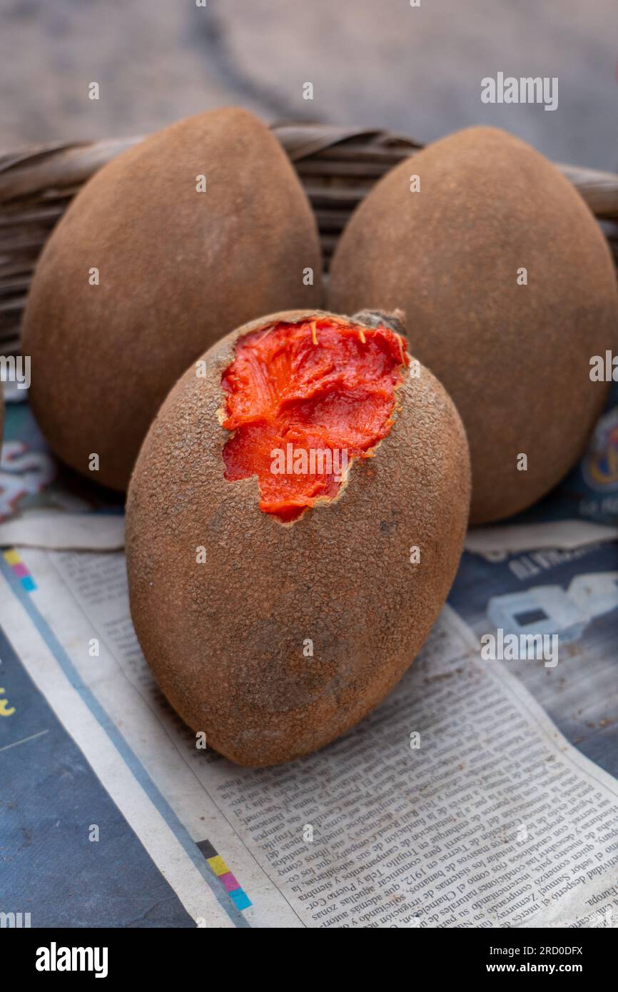 Mazzo di Mamey Sapotes maturo (Pouteria sapota) una specie nativa del Messico e dell'America centrale su una bancarella nel colorato mercato 'Mercado Mayoreo' vicino al Foto Stock