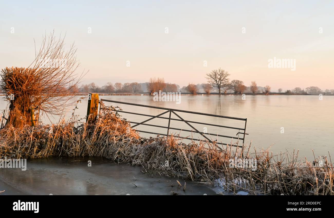 Somerset Levels allagato e ghiacciato vicino Highbridge e Burrow Hill Sunriise inverno Foto Stock