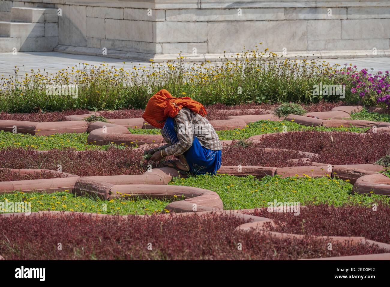 Agra, India — 12 aprile 2023. Una foto a lunga distanza di una donna che diserba un giardino sotto il sole caldo a Fort Agra, India. Foto Stock