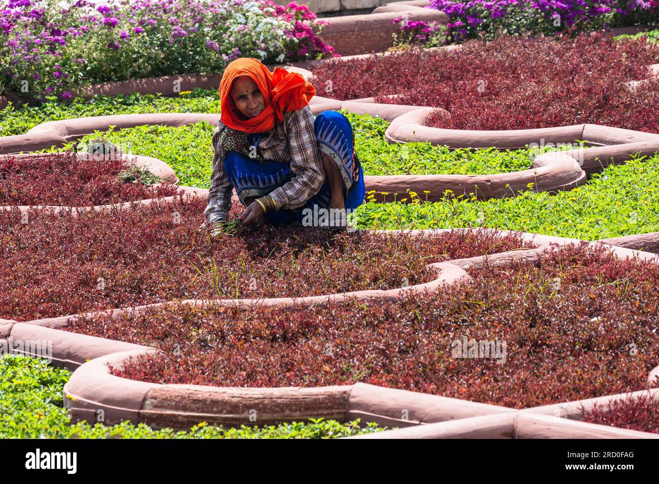 Agra, India — 12 aprile 2023. Una foto a lunga distanza di una donna che diserba un giardino a Fort Agra, in India. Foto Stock