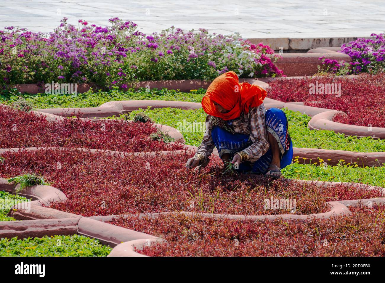 Agra, India — 12 aprile 2023. Una foto a lunga distanza di una donna che diserba un giardino a Fort Agra, in India. Foto Stock