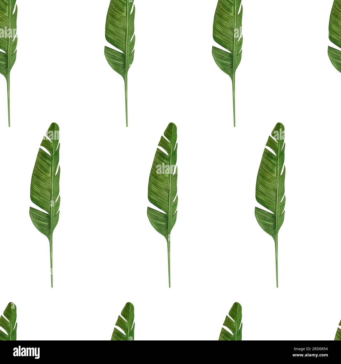 Motivo senza cuciture su sfondo bianco. Foglie tropicali di colore verde disegnate a mano con acquerello su sfondo bianco. Adatto per la stampa su tessuto Foto Stock