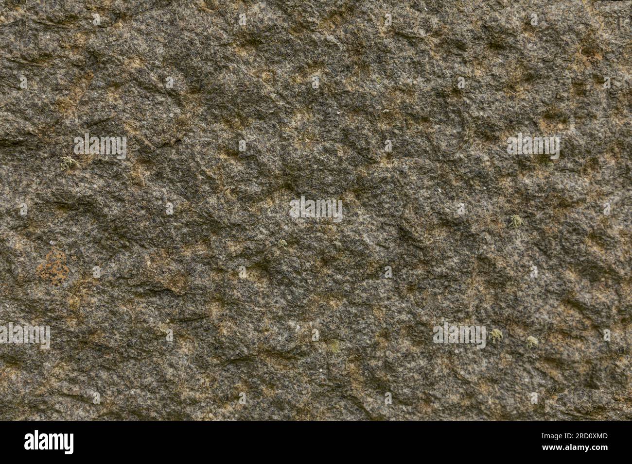 Sfondo in pietra grintosa di colore grigio e crema Foto Stock