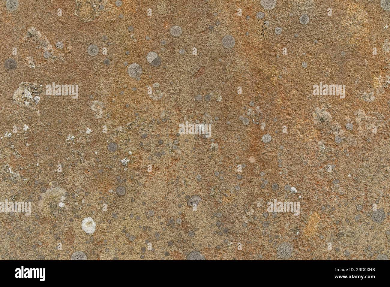 Sfondo di pietra arancione ricoperto di lichene Foto Stock