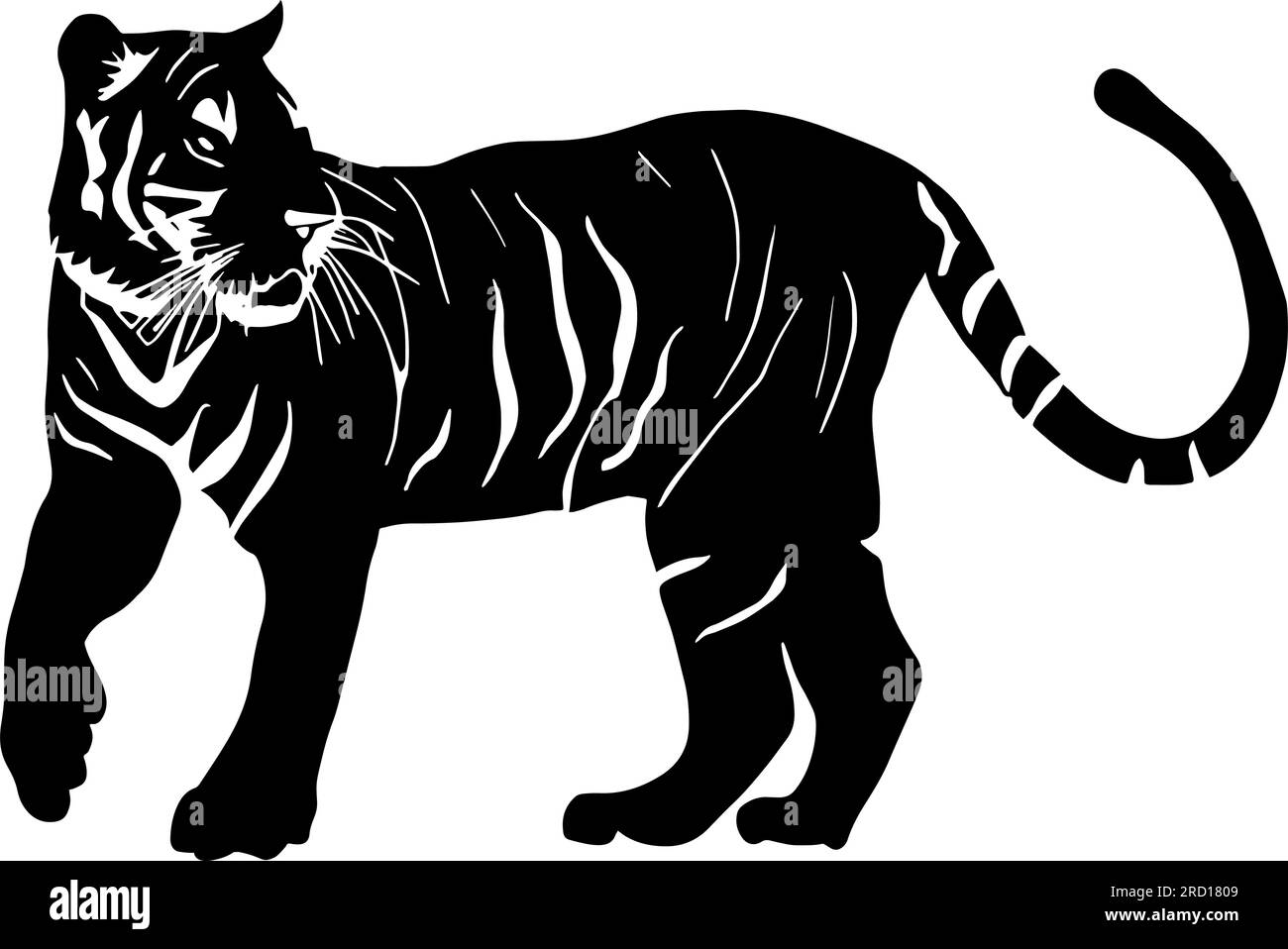 Silhouette Tiger isolata su sfondo bianco. Illustrazione vettoriale Illustrazione Vettoriale