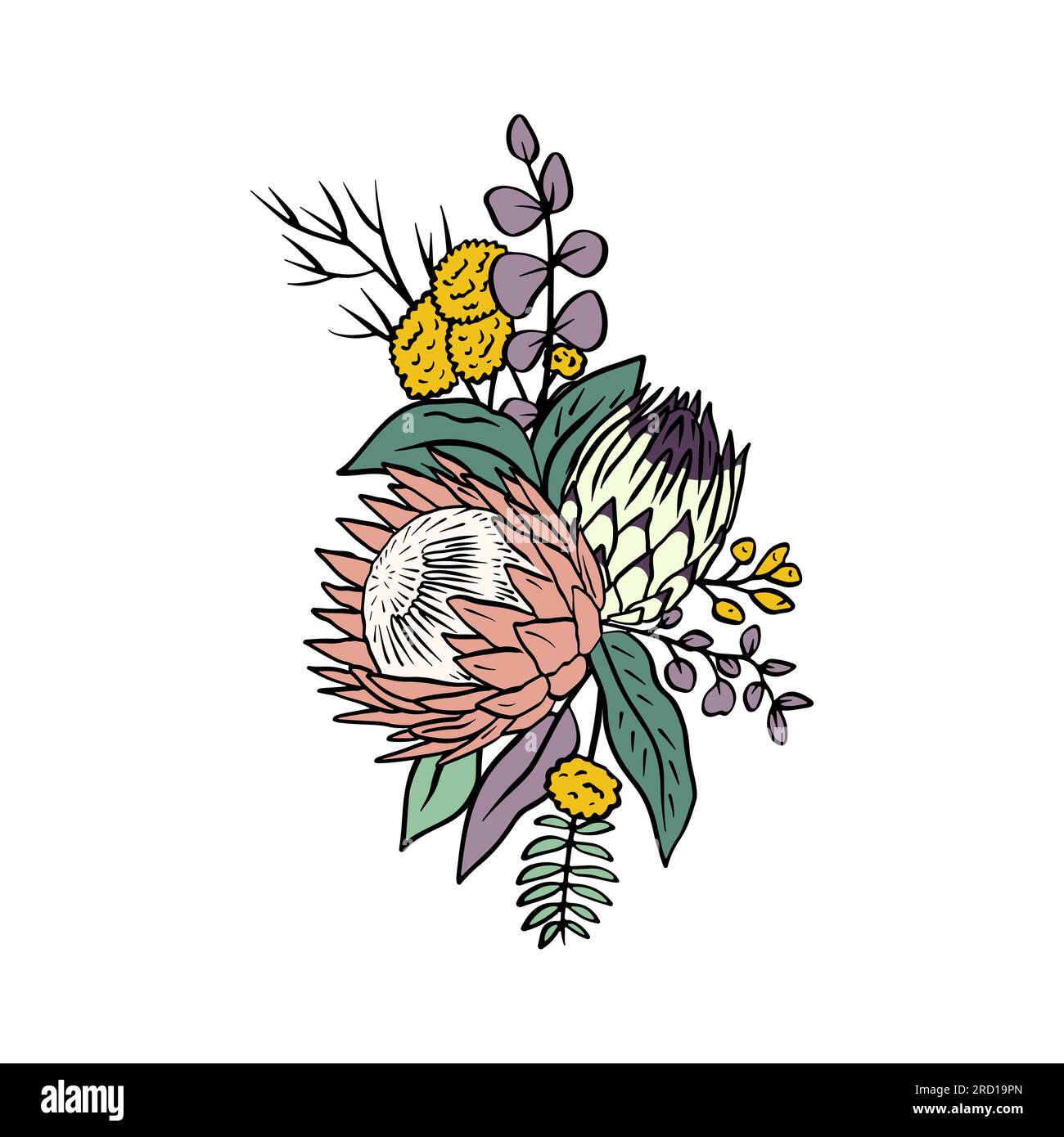 Colorato bouquet tropicale di fiori e foglie di protea Illustrazione Vettoriale