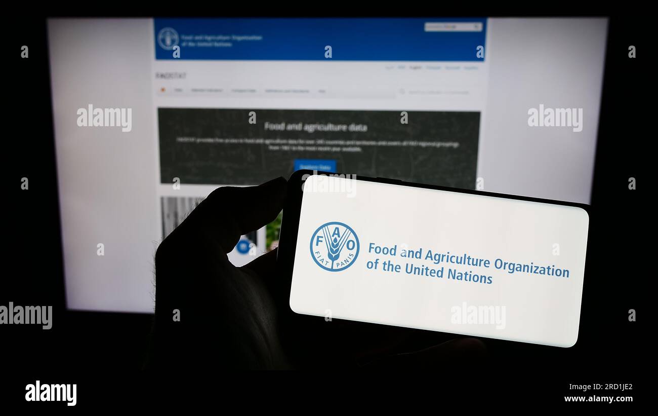 Persona che possiede un telefono cellulare con il logo dell'agenzia delle Nazioni Unite per l'alimentazione e l'agricoltura (FAO) sullo schermo di fronte alla pagina web. Concentrarsi sul display del telefono. Foto Stock