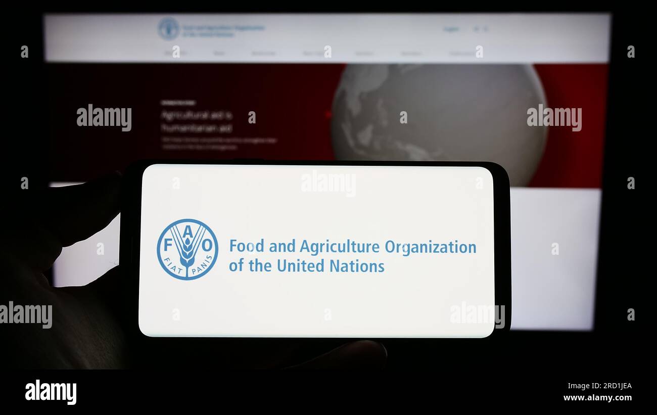 Persona in possesso di un cellulare con il logo dell'agenzia delle Nazioni Unite per l'alimentazione e l'agricoltura (FAO) sullo schermo di fronte alla pagina web. Concentrarsi sul display del telefono. Foto Stock