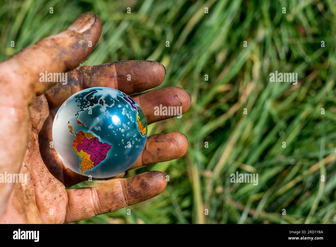 Le mani del lavoratore raccolgono noci, colorate dalla presa a strappo in un globo di terra cristallina Foto Stock