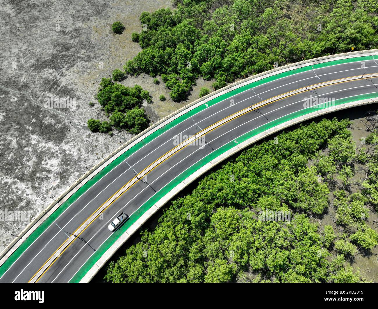 Vista aerea droni curva strada con verde foresta di mangrovie e spiaggia fangosa. Le mangrovie catturano la CO2. Pozzo di carbonio naturale. Ecosistemi di carbonio blu. Foto Stock