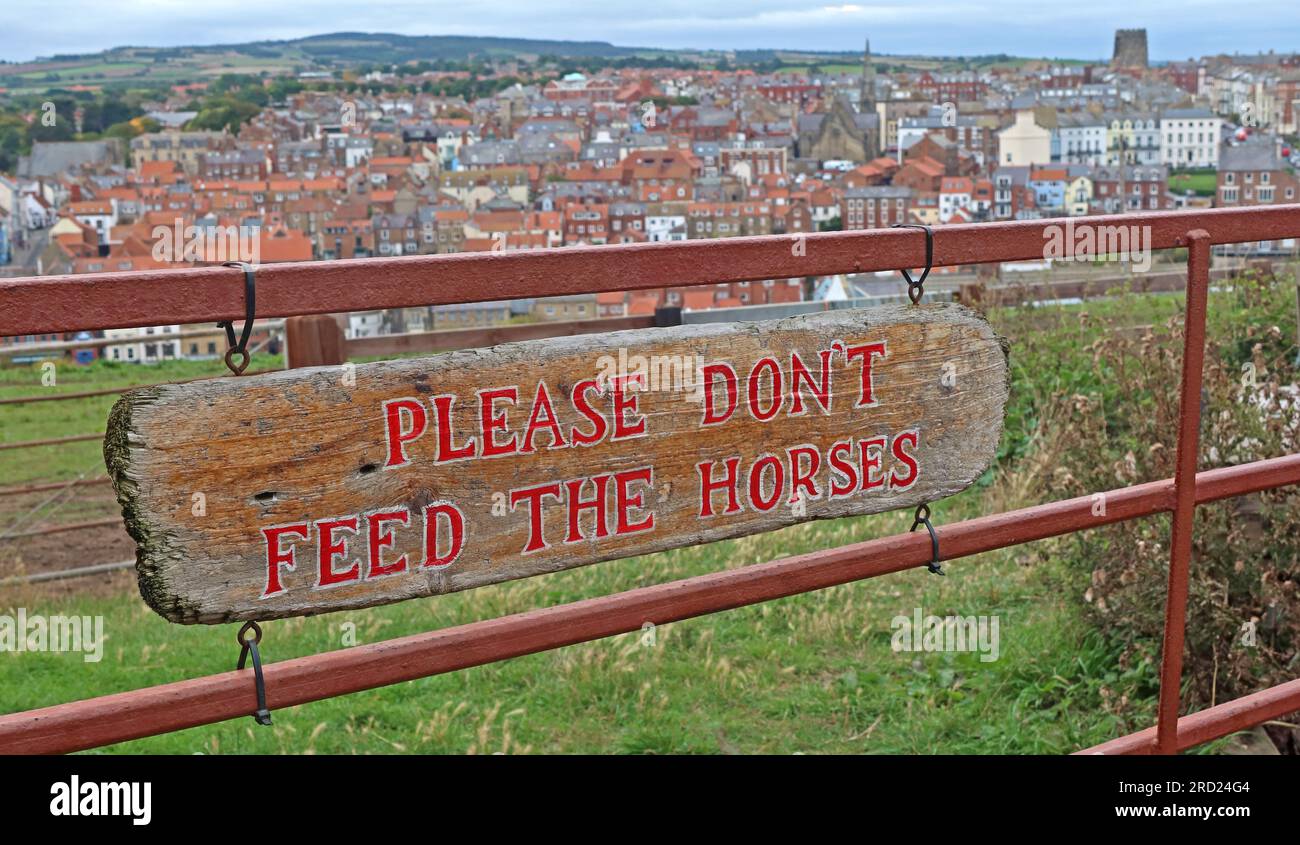 Cartello di legno in un campo, si prega di non dare da mangiare ai cavalli, guardando la città di Whitby, North Yorkshire, Inghilterra, Regno Unito, YO22 4JT Foto Stock