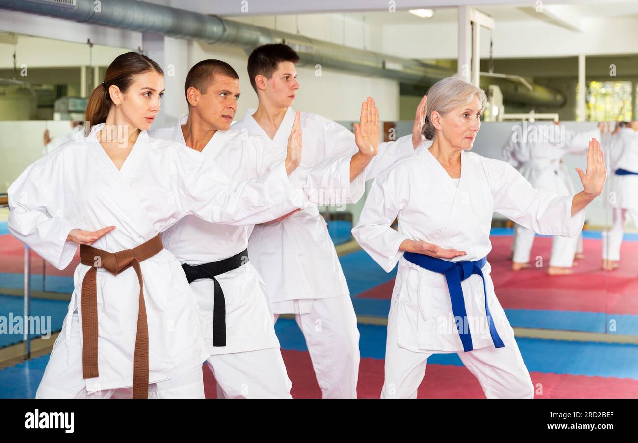 La gente in kimono che pratica i pugni durante l'esercitazione delle arti marziali di gruppo Foto Stock