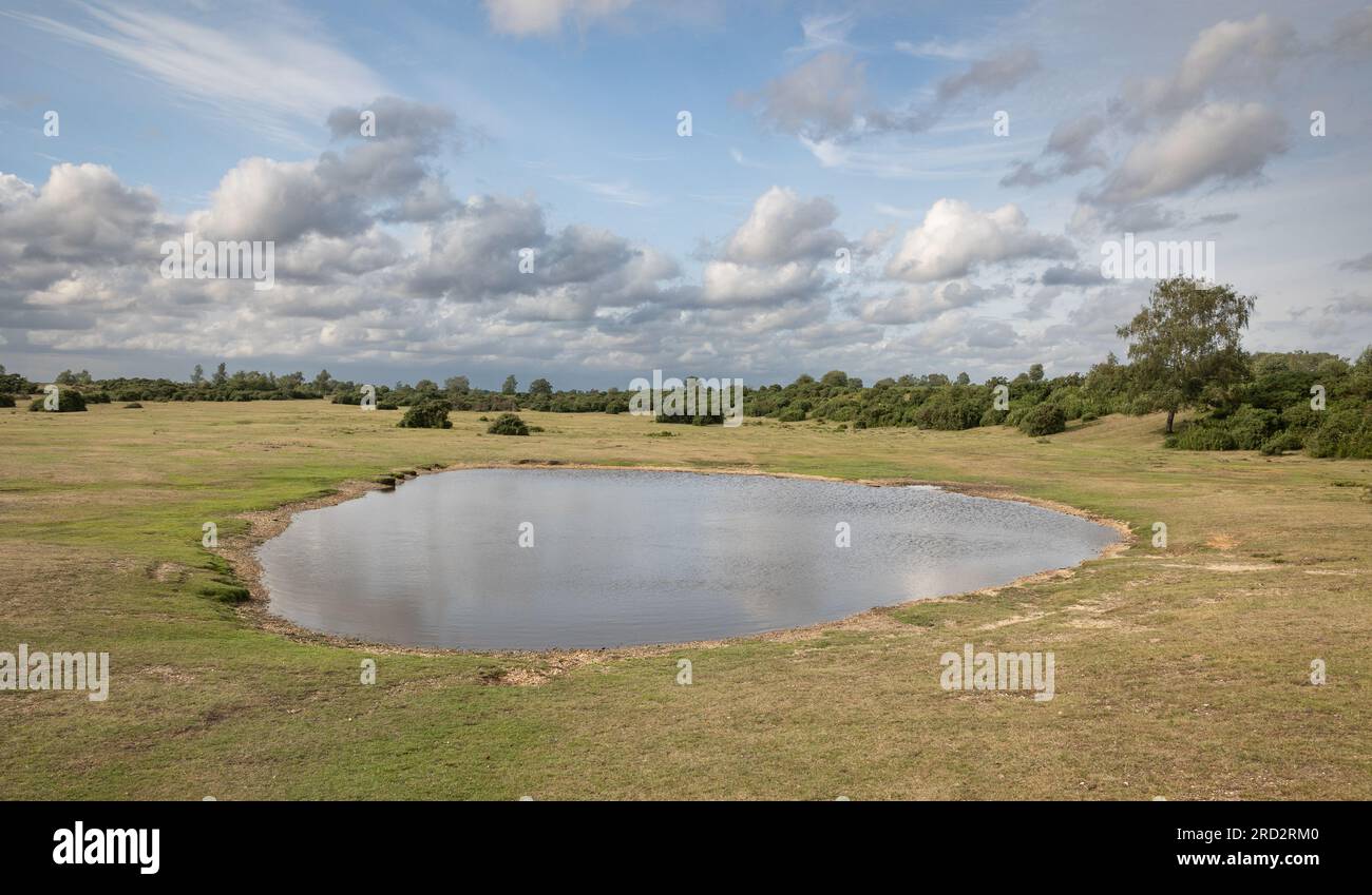 Uno spazio aperto con piccolo stagno, erba e Canne che circondano. Le nuvole chiare e soffici sono ambientate in un cielo che passa dal blu al grigio lungo la scena. Nel nuovo Foto Stock