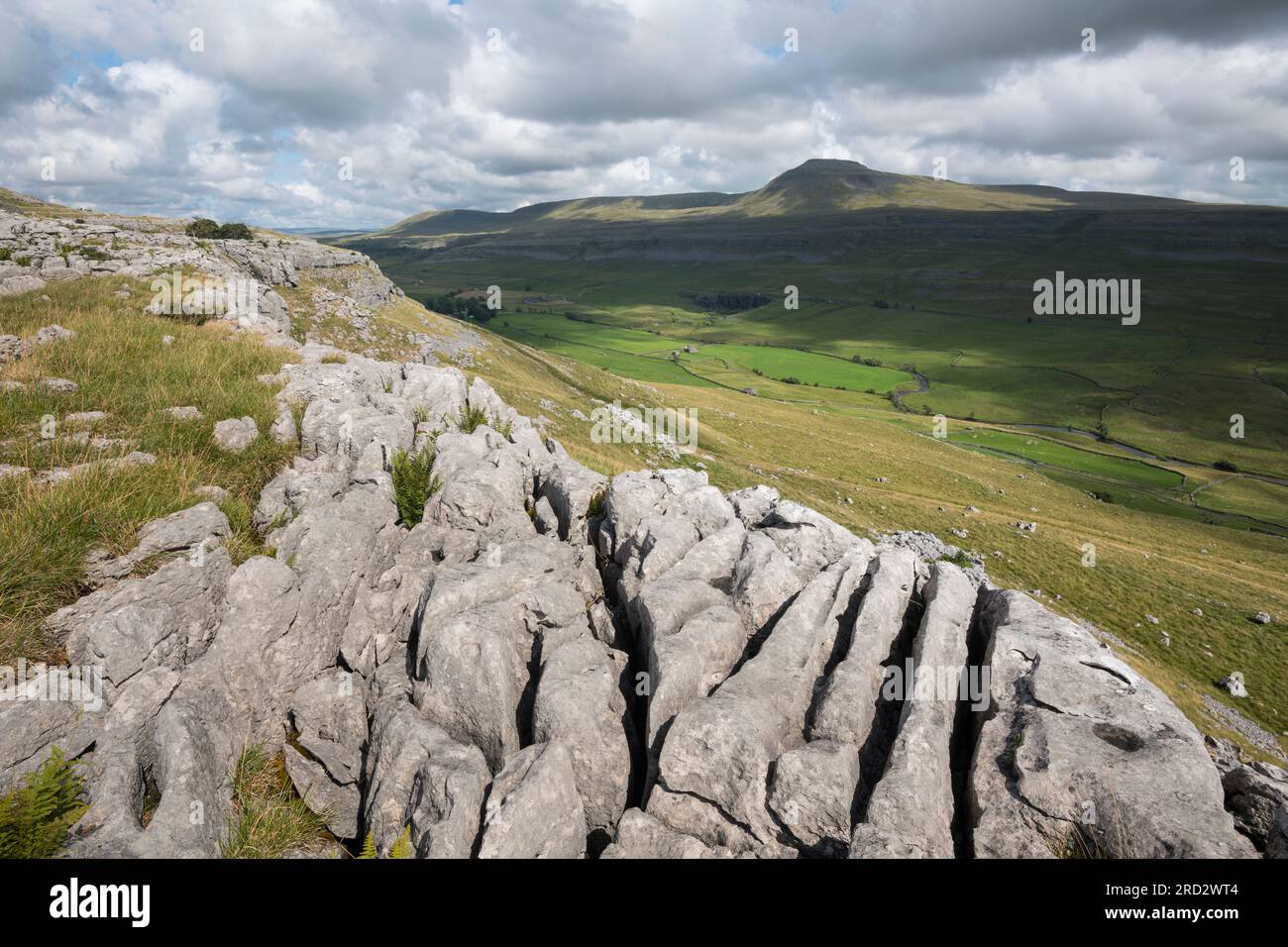 Pavimentazione in pietra calcarea su Twisleton Scar, Scales Moor, che guarda verso Ingleborough, vicino a Ingleton, Yorkshire Dales National Park, Inghilterra Foto Stock