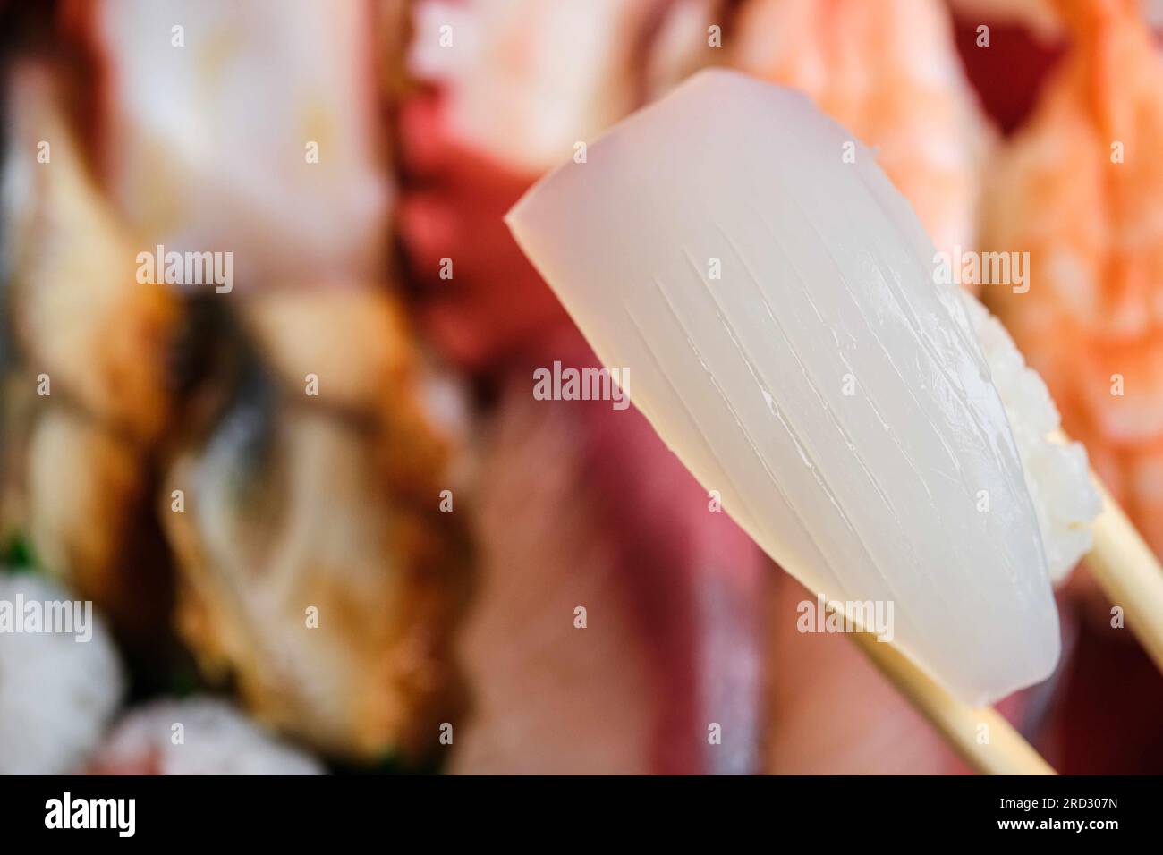 Nigiri di calamari su una selezione di vari sushi giapponesi. Foto Stock