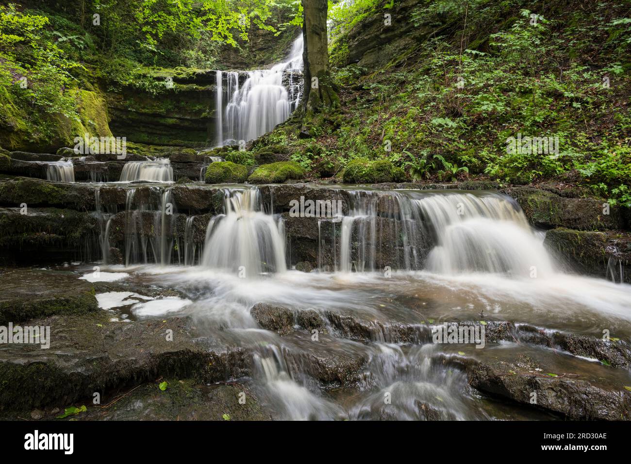 Scaleber Force Waterfall, vicino Settle, Yorkshire Dales, Inghilterra Foto Stock