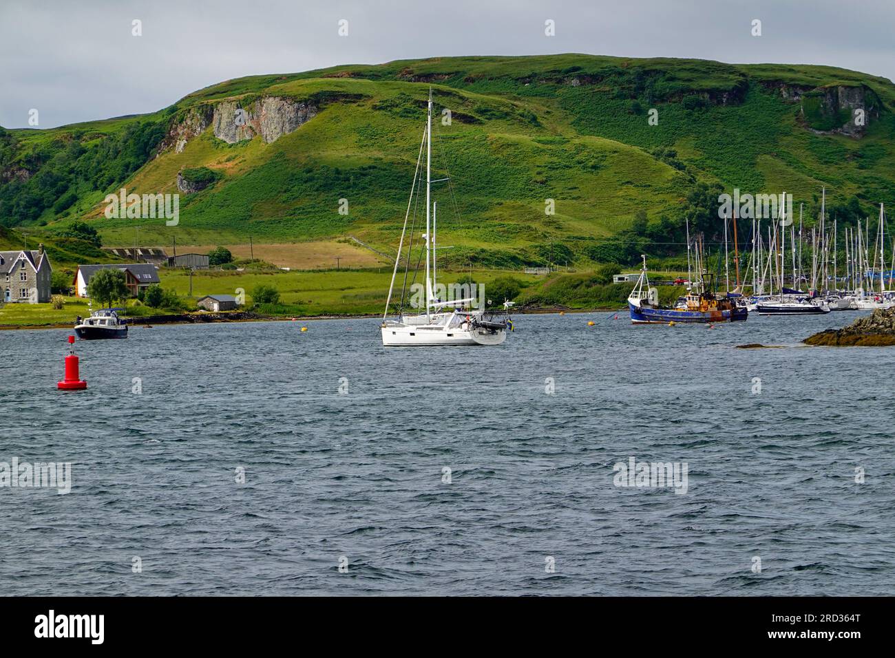 Barche a vela, imbarcazioni da diporto, a Oban Bay sullo sfondo dell'isola di Kerrera, Ebridi interne, Scozia, Regno Unito. Foto Stock