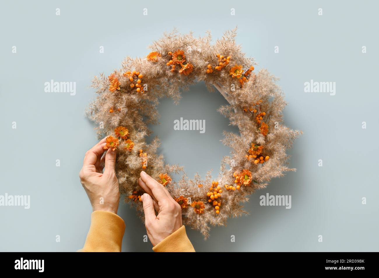 Donna che tiene in mano la corona del Ringraziamento con fiori arancioni e materiali naturali secchi su sfondo blu. Vista dall'alto. Foto Stock