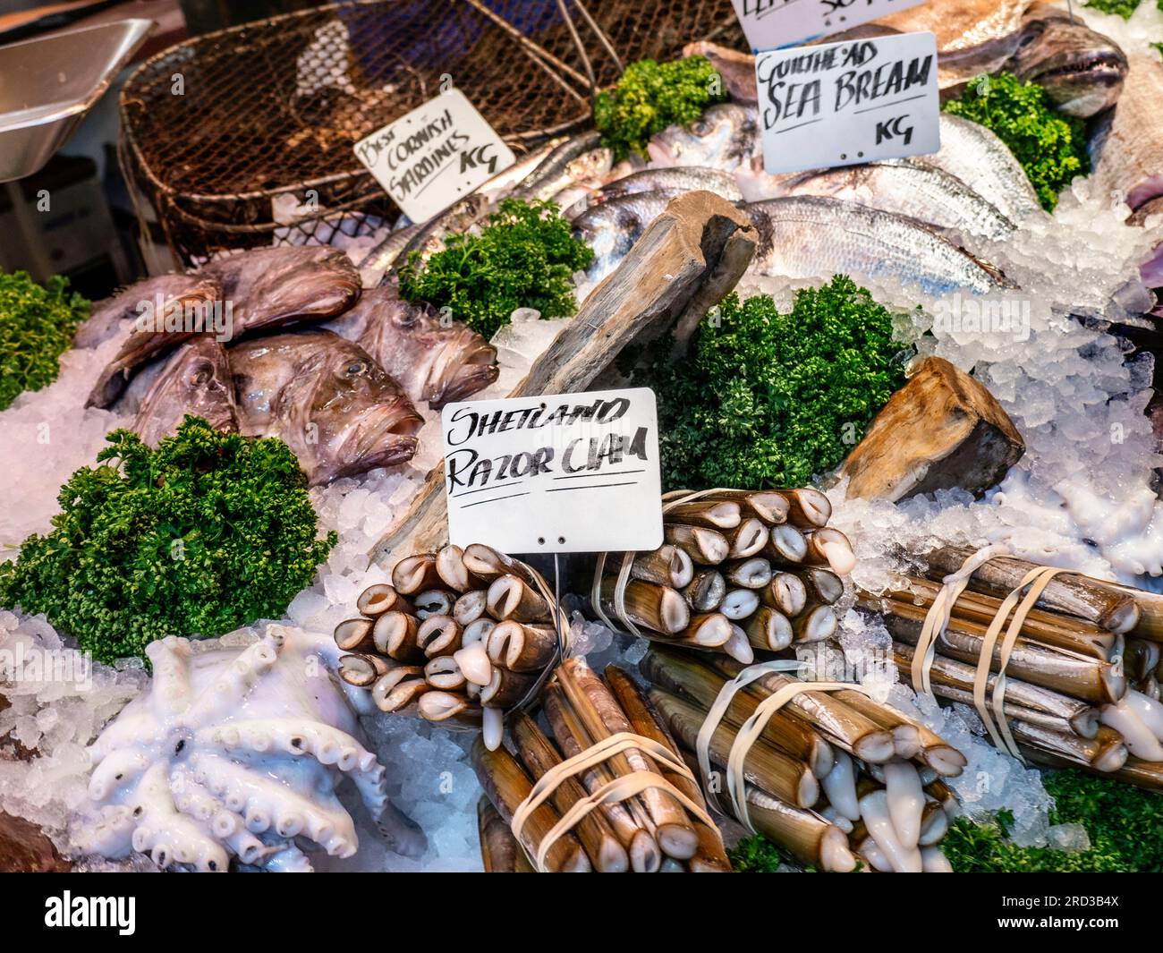 RAZOR CLAMS Fishmonger Borough Market mostra di tutti i frutti di mare freschi britannici su ghiaccio, tra cui Shetland Razor Clams Clam, Sea Bream e Octopus al Borough Market Southwark Londra Regno Unito Foto Stock