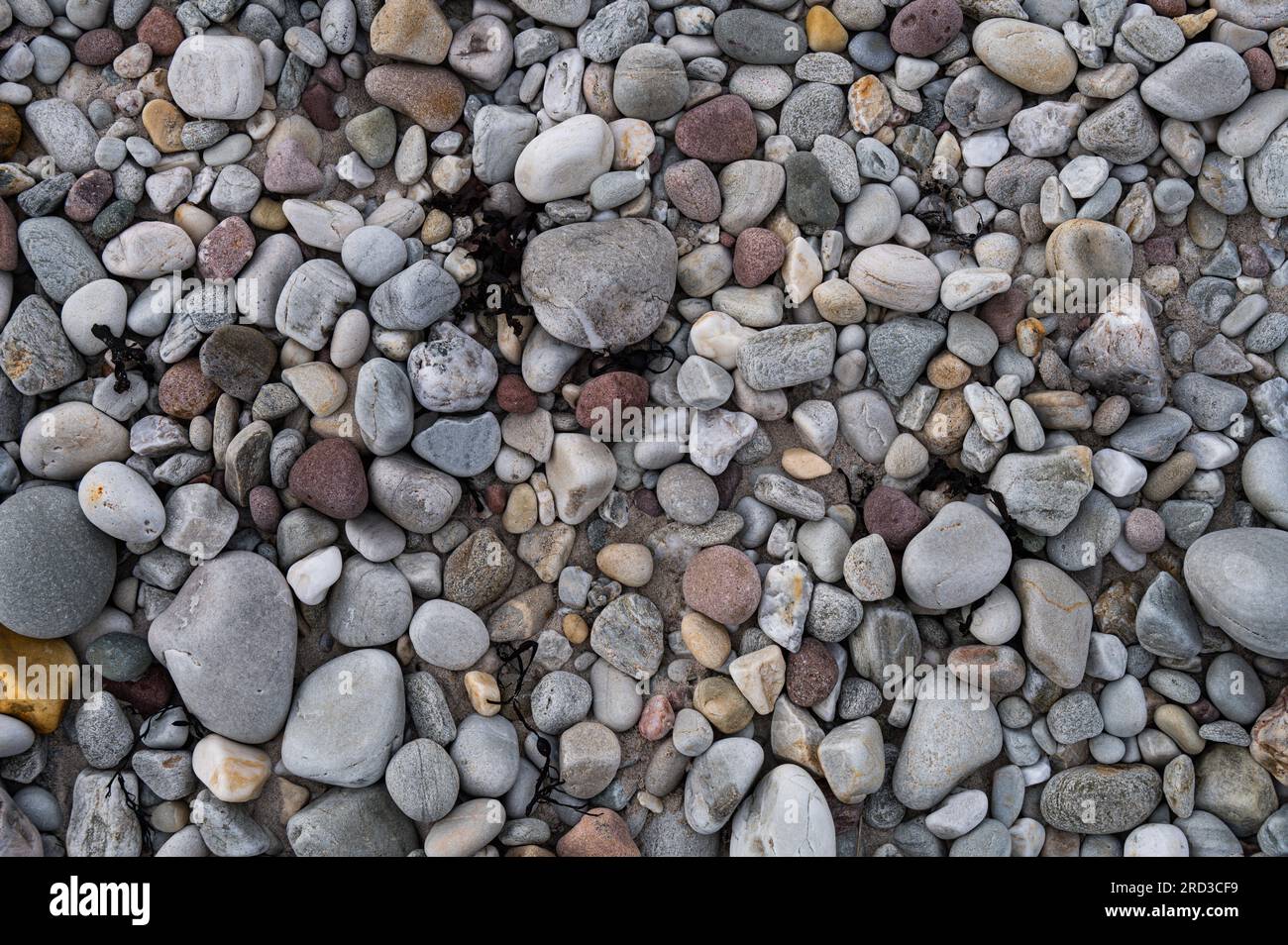 Spiaggia di ciottoli colorati Foto Stock