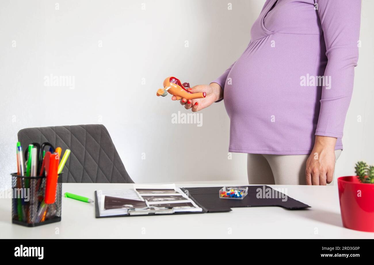 La ragazza tiene in mano un modello del sistema riproduttivo femminile. Il concetto di fecondazione delle uova, meccanismo di concezione. Foto Stock