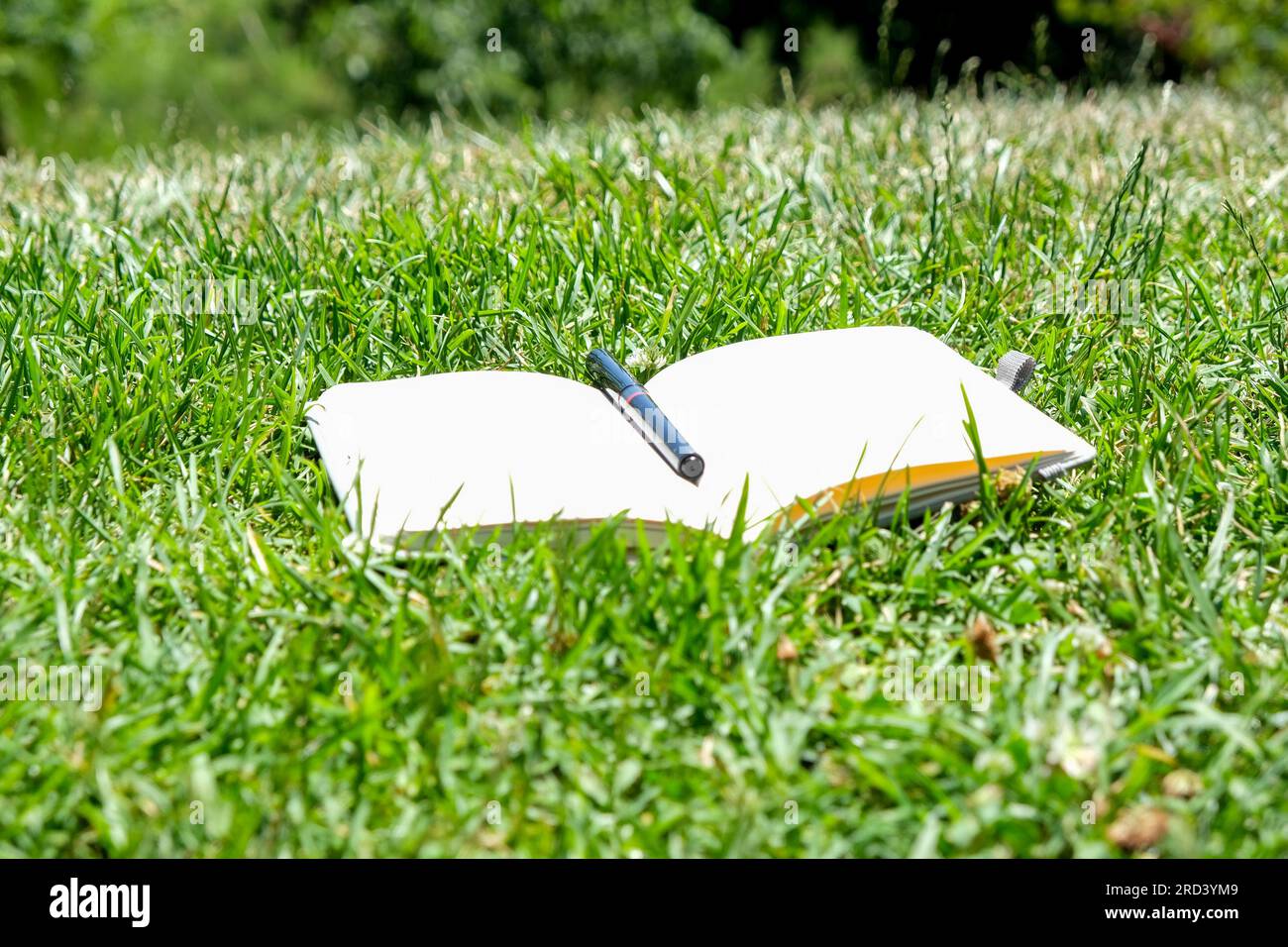 Svuotare il notebook vuoto con la penna sull'erba del parco. Prendi nota ovunque. Foto Stock
