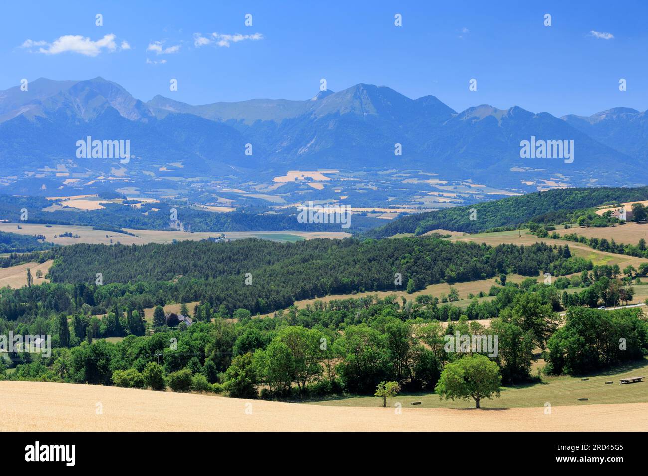 Campagna nei pressi di Saint-Jean-d'Herans Trieves Region Grenoble Isere Auvergne-Rhone-Alpes Francia Foto Stock