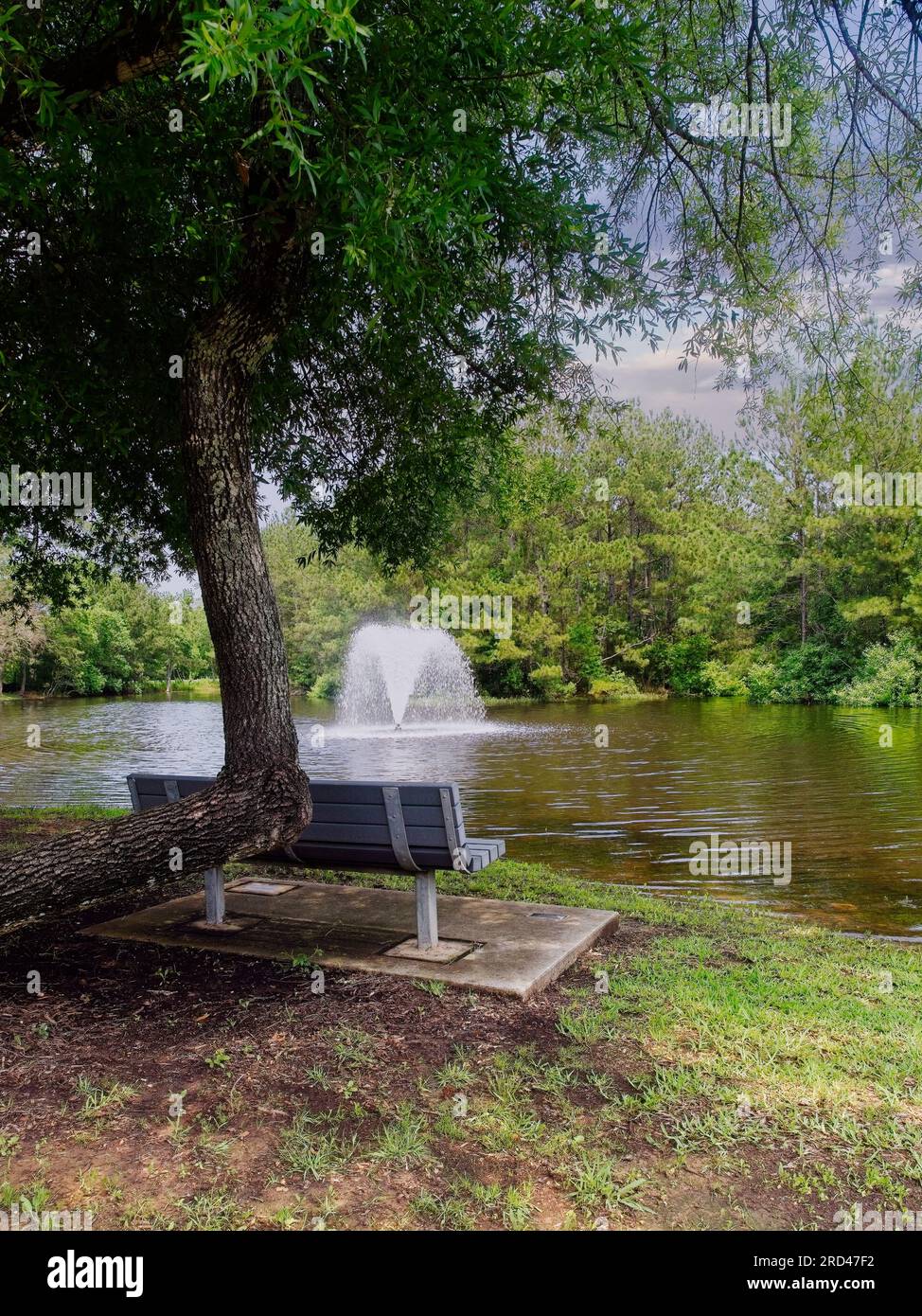 Panchina per albero, stagno e fontana lungo un sentiero. Ho un buon posto per riposarmi. Foto Stock