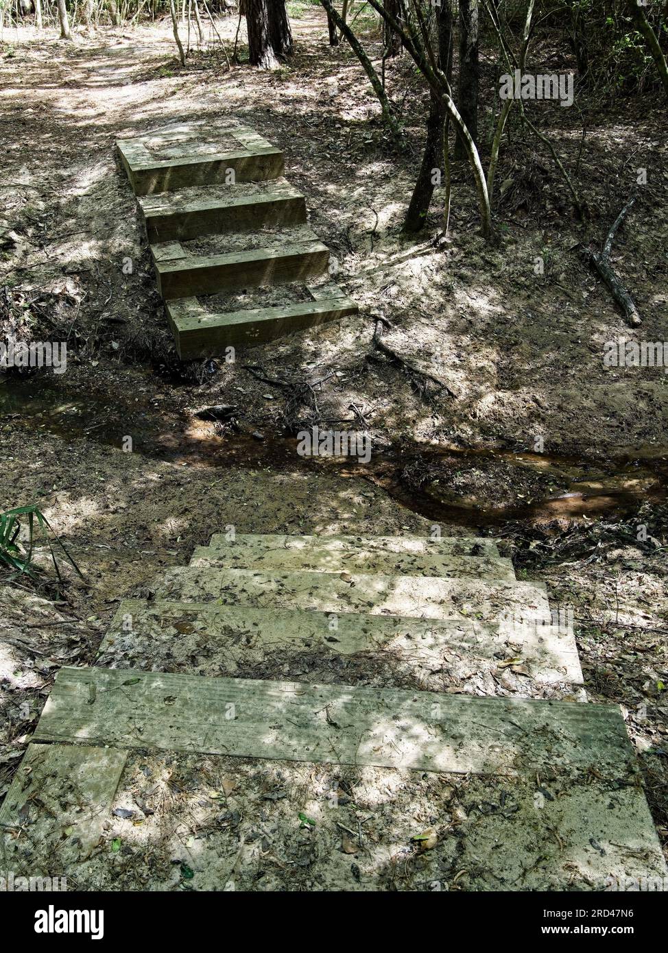 Scalinata nel bosco per attraversare un ruscello 2 Foto Stock