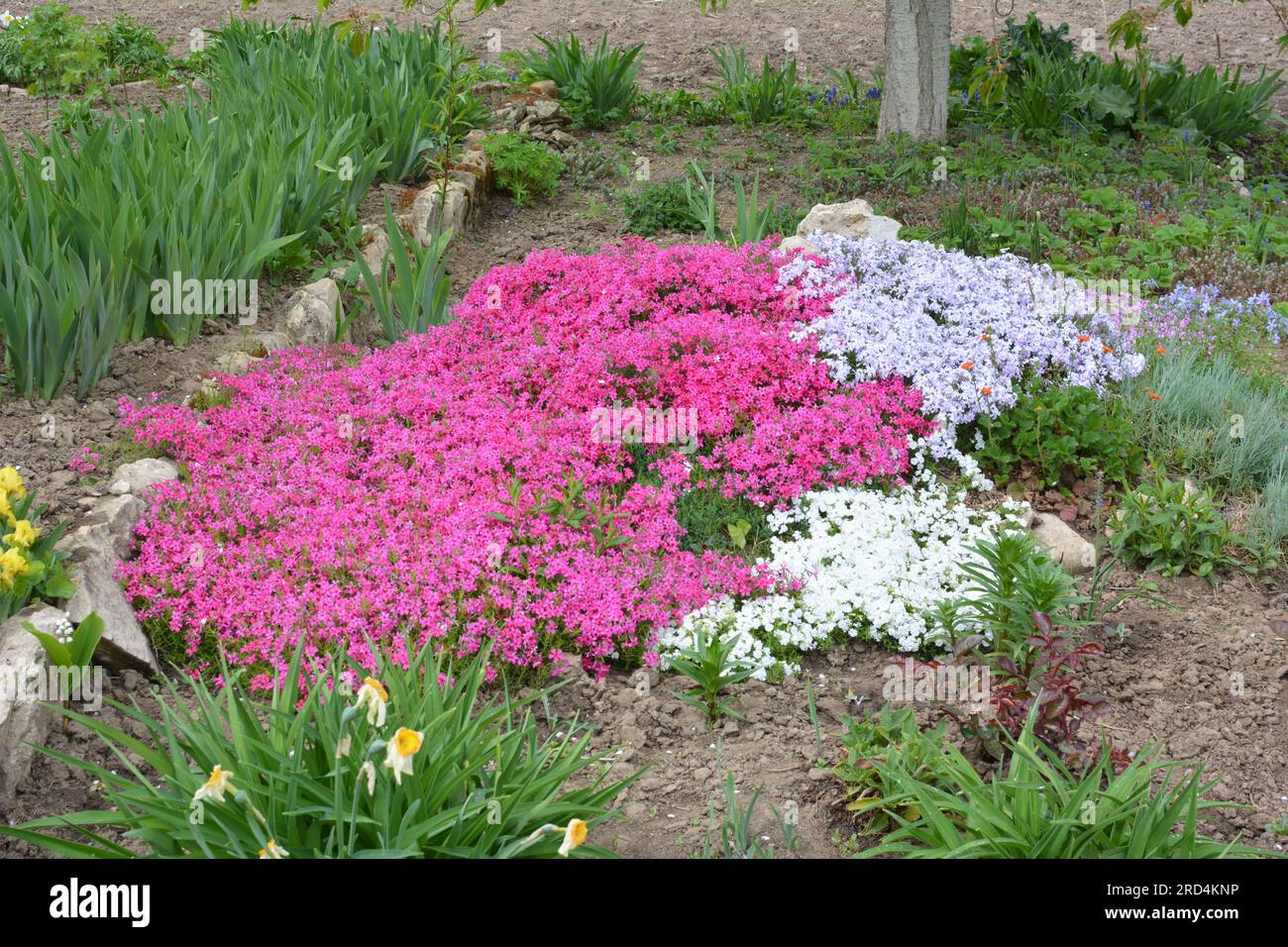 Bordo Da Giardino In Metallo Zincato Ondulato - 15,2x6,2 M, Per Aiuole E Prati, Color Argento