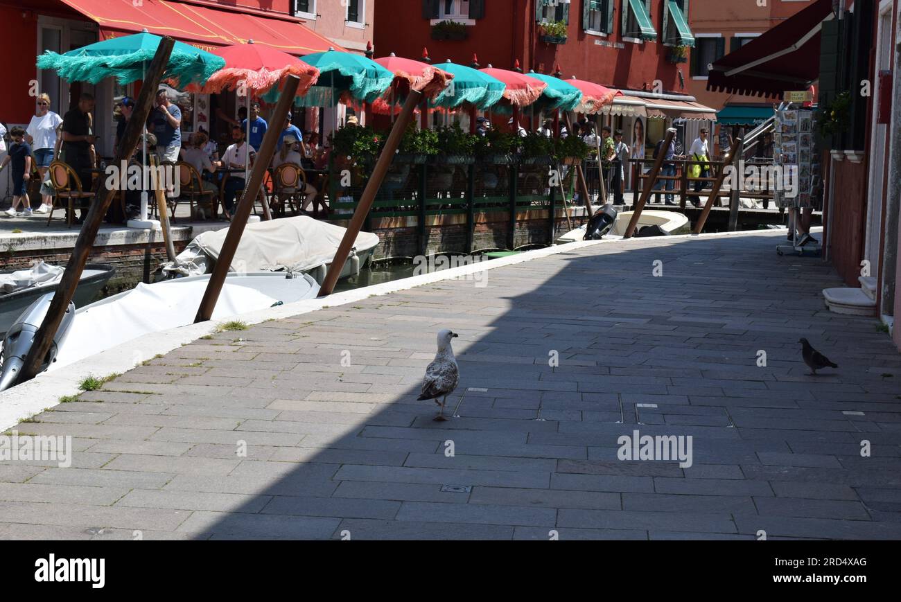 L'isola di Burano è tra le dieci città più colorate del mondo Foto Stock