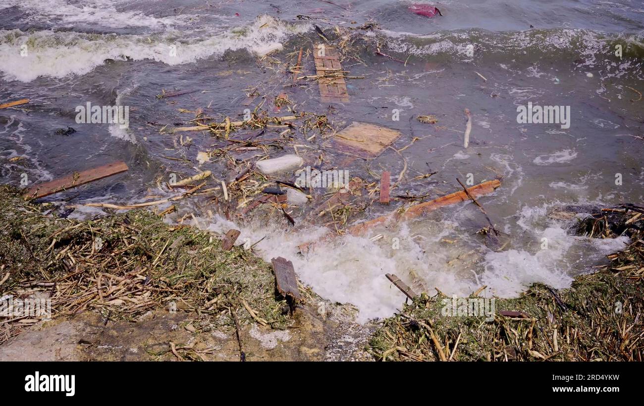 Un primo piano di detriti galleggianti ha raggiunto le spiagge del Mar Nero a Odessa, Ucraina. Disastro ambientale causato dall'esplosione di Kakhovka Foto Stock